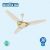 Super Asia Inverter Fan Aspire AC 56 Inch 30 watt Pure Copper Wire High Quality Colour Off White